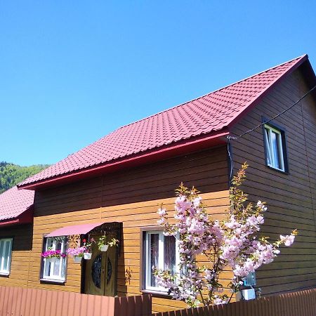 Verkhnyaya Bystra Відпочинок У Карпатах, Мінеральні Ванни, Банний Чан!ゲストハウス エクステリア 写真