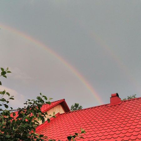 Verkhnyaya Bystra Відпочинок У Карпатах, Мінеральні Ванни, Банний Чан!ゲストハウス エクステリア 写真