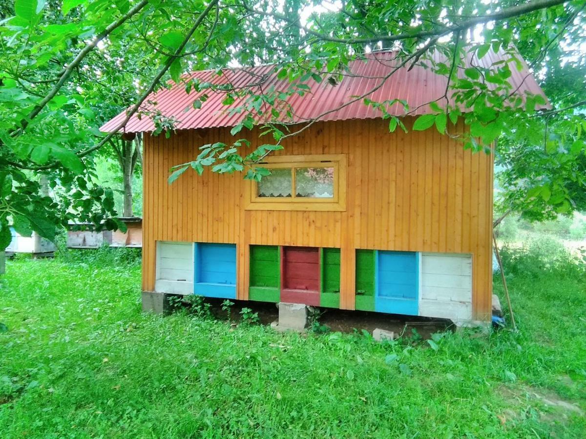Verkhnyaya Bystra Відпочинок У Карпатах, Мінеральні Ванни, Банний Чан!ゲストハウス エクステリア 写真
